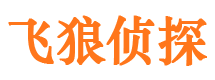 西畴寻人公司